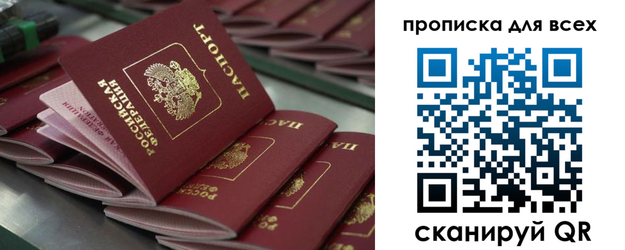 найти адрес прописки в Московской области